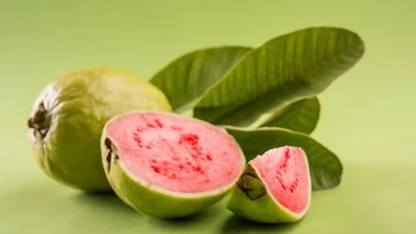 Conoce los impresionantes beneficios de las hojas de guayaba