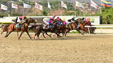 Clásico Juan Arias (GI) se competirá con ocho machos en La Rinconada Clásico Juan Arias (GI) se competirá con ocho machos en La Rinconada