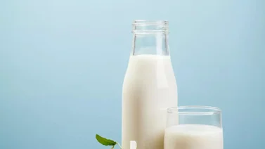 Leche entera vs. leche descremada: ¿Cuál es la mejor opción para tu salud?