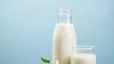 Leche entera vs. leche descremada: ¿Cuál es la mejor opción para tu salud? Leche entera vs. leche descremada: ¿Cuál es la mejor opción para tu salud?