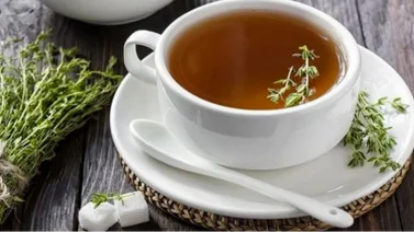 Descubre los importantes beneficios del té de orégano