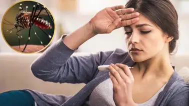 ¿El dengue es contagioso? Te contamos todo lo que tienes que saber al respecto ¿El dengue es contagioso? Te contamos todo lo que tienes que saber al respecto