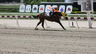 Debuta hija de campeón pistero invicto en La Rinconada Debuta hija de campeón pistero invicto en La Rinconada