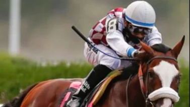 Fusta de Puerto Rico que no es Irad Ortiz Jr. es designado Jockey del Año por esta institución