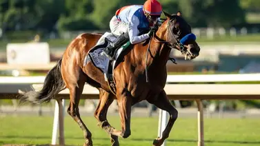 Conozca cuantas veces ganó el Preakness el puesto de partida de Muth en este siglo Conozca cuantas veces ganó el Preakness el puesto de partida de Muth en este siglo