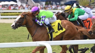 Conoce el jockey venezolano que está cerca de los $400 millones en dinero producido 