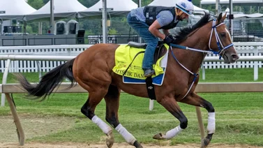 ¿Sabe Ud. desde cuando no gana el Preakness el puesto de partida de Mystik Dan  en este siglo?