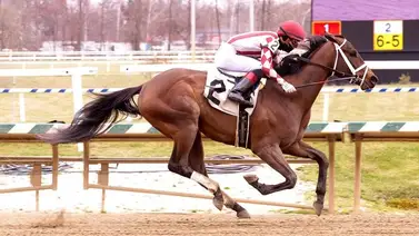 Jockey venezolano consigue hazaña que solo han hecho los hermanos Ortiz este año Jockey venezolano consigue hazaña que solo han hecho los hermanos Ortiz este año