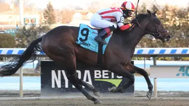 ¿Sabe Ud. cuántas veces los jockeys latinos ganaron el Preakness en este siglo? Le contamos ¿Sabe Ud. cuántas veces los jockeys latinos ganaron el Preakness en este siglo? Le contamos