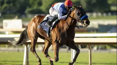 Muth retirado a Última Hora del Preakness Stakes por esta razón Muth retirado a Última Hora del Preakness Stakes por esta razón