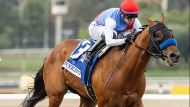 Mira lo que dice el entrenador de Mystik Dan sobre el retiro de Muth del Preakness