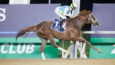 Ganador clásico en Arabia correrá en Estados Unidos con este entrenador Ganador clásico en Arabia correrá en Estados Unidos con este entrenador