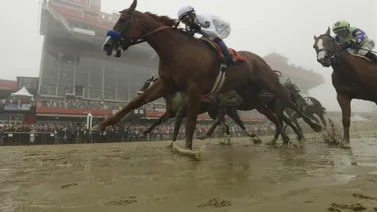 Estos son los ejemplares del Preakness Stakes que corren bien en fango
