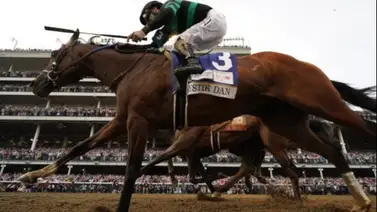 Mira como les fue a los participantes en el Kentucky Derby y Oaks en su prueba de doping Mira como les fue a los participantes en el Kentucky Derby y Oaks en su prueba de doping