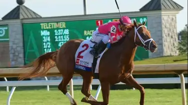 Famoso entrenador de Estados Unidos enfrenta dos años de suspensión por esta razón Famoso entrenador de Estados Unidos enfrenta dos años de suspensión por esta razón