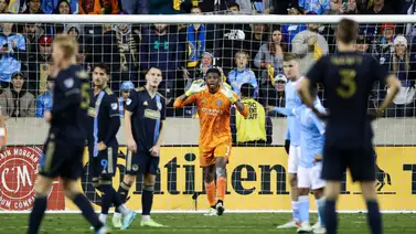 MLS: Partido entre Philadelphia y New York City recibe un visitante peculiar (+ Video) MLS: Partido entre Philadelphia y New York City recibe un visitante peculiar (+ Video)