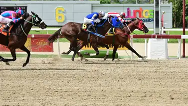 Este ejemplar ajustó fenómeno y puede repetir en La Rinconada el domingo 19 Este ejemplar ajustó fenómeno y puede repetir en La Rinconada el domingo 19