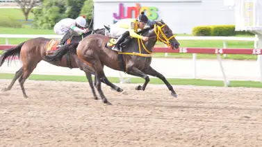 Así fue el ajuste de la línea de Gaceta Hípica del domingo en La Rinconada Así fue el ajuste de la línea de Gaceta Hípica del domingo en La Rinconada