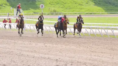Como ajustó este ejemplar debe abrir con triunfo la reunión 19 en La Rinconada Como ajustó este ejemplar debe abrir con triunfo la reunión 19 en La Rinconada