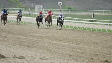 Potra ajusta muy bien y debería salir del lote de perdedoras en La Rinconada Potra ajusta muy bien y debería salir del lote de perdedoras en La Rinconada