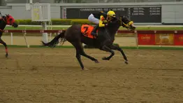 Jinete que hizo campaña en La Rinconada este año se encuentra en Estados Unidos