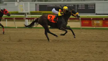 Jinete que hizo campaña en La Rinconada este año se encuentra en Estados Unidos Jinete que hizo campaña en La Rinconada este año se encuentra en Estados Unidos