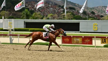 En carrera donde hay muchos datos esta yegua que nadie nombra ajusta fenómeno 