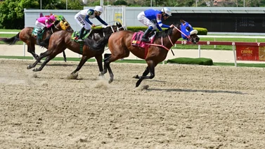 Ejemplar que esta de turno ajusta muy bien y puede sorprender en el 5y6 del domingo en La Rinconada