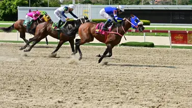 Ejemplar que esta de turno ajusta muy bien y puede sorprender en el 5y6 del domingo en La Rinconada Ejemplar que esta de turno ajusta muy bien y puede sorprender en el 5y6 del domingo en La Rinconada