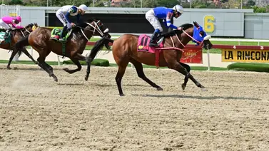 Mira el ajuste de Soldado del Rey de cara a su carrera el domingo en La Rinconada Mira el ajuste de Soldado del Rey de cara a su carrera el domingo en La Rinconada