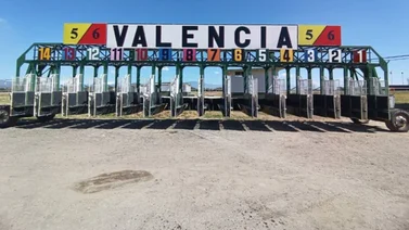 Estos son los retirados en el Hipódromo Nacional de Valencia 18-5-2024