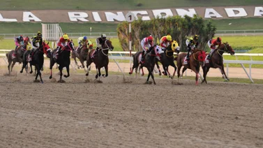 Datos de Última Hora para el Hipódromo La Rinconada 19-5-2024