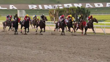 Datos de Última Hora para el Hipódromo La Rinconada 19-5-2024 Datos de Última Hora para el Hipódromo La Rinconada 19-5-2024