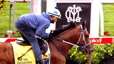 Mira el increíble dato que favorece a Mystik Dan en el Preakness Stakes
