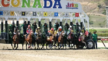 Estos son los retirados de la reunión 19 en La Rinconada 19-5-2024