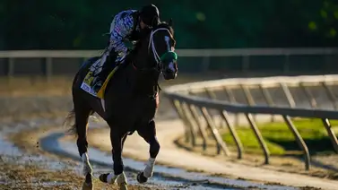 Caballo que corrió el Preakness Stakes se fracturó y será operado Caballo que corrió el Preakness Stakes se fracturó y será operado