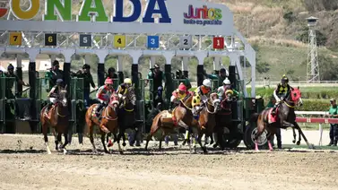 5y6 nacional rumbo a los 28 millones en el monto sellado en La Rinconada 5y6 nacional rumbo a los 28 millones en el monto sellado en La Rinconada