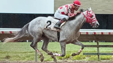 Jockey venezolano debuta en este hipódromo de Estados Unidos con triunfo