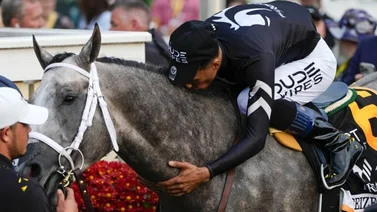 A estos jockeys agradece el boricua ganador del Preakness Stakes por sus avances