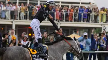 No creerás la cantidad de propietarios que tiene el ganador del Preakness Stakes No creerás la cantidad de propietarios que tiene el ganador del Preakness Stakes