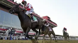 Jockeys de Puerto Rico logran esta hazaña por tercer año consecutivo