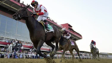 Jockeys de Puerto Rico logran esta hazaña por tercer año consecutivo