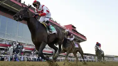 Jockeys de Puerto Rico logran esta hazaña por tercer año consecutivo Jockeys de Puerto Rico logran esta hazaña por tercer año consecutivo