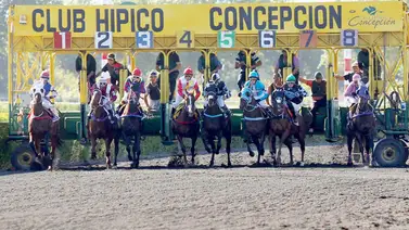 Jockeys venezolanos arrasan con los clásicos en hipódromos de Chile Jockeys venezolanos arrasan con los clásicos en hipódromos de Chile