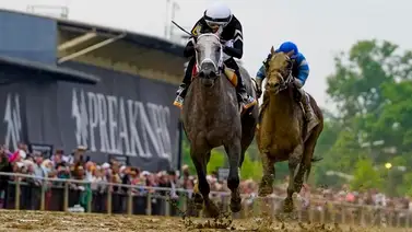Conozca al jockey puertorriqueño más joven que logra ganar el Preakness Stakes Conozca al jockey puertorriqueño más joven que logra ganar el Preakness Stakes
