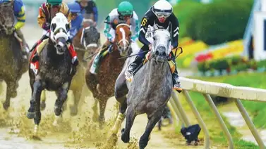 Así opina el comprador de Seize the Grey potro ganador del Preakness sobre el Belmont Stakes Así opina el comprador de Seize the Grey potro ganador del Preakness sobre el Belmont Stakes