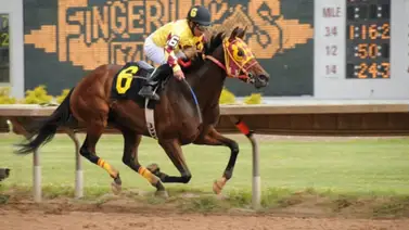 Jockey venezolano logra cuatro victorias por primera vez en el 2024 en Estados Unidos Jockey venezolano logra cuatro victorias por primera vez en el 2024 en Estados Unidos