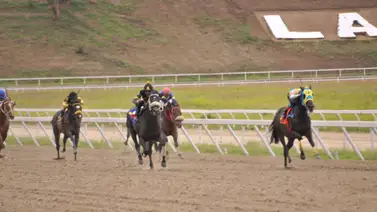 Caballo ganador de múltiples clásicos grado 1 reaparece en La Rinconada Caballo ganador de múltiples clásicos grado 1 reaparece en La Rinconada