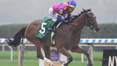 Aquí los 17 ganadores clásicos que volaron en sus briseos de este lunes en Estados Unidos Aquí los 17 ganadores clásicos que volaron en sus briseos de este lunes en Estados Unidos