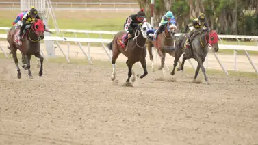Hija de Vacation reaparece este domingo en La Rinconada Hija de Vacation reaparece este domingo en La Rinconada